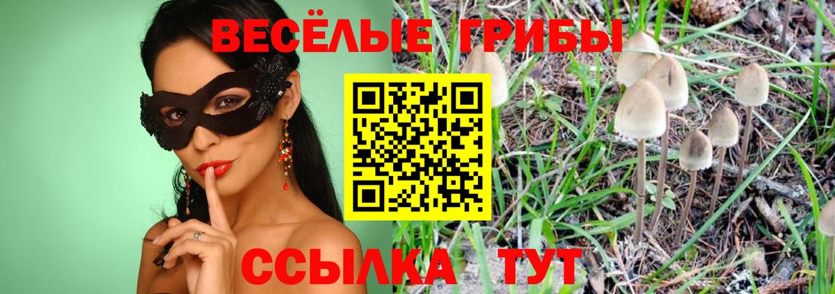 Галлюциногенные грибы Psilocybe  Вход с VPN  Владимир 